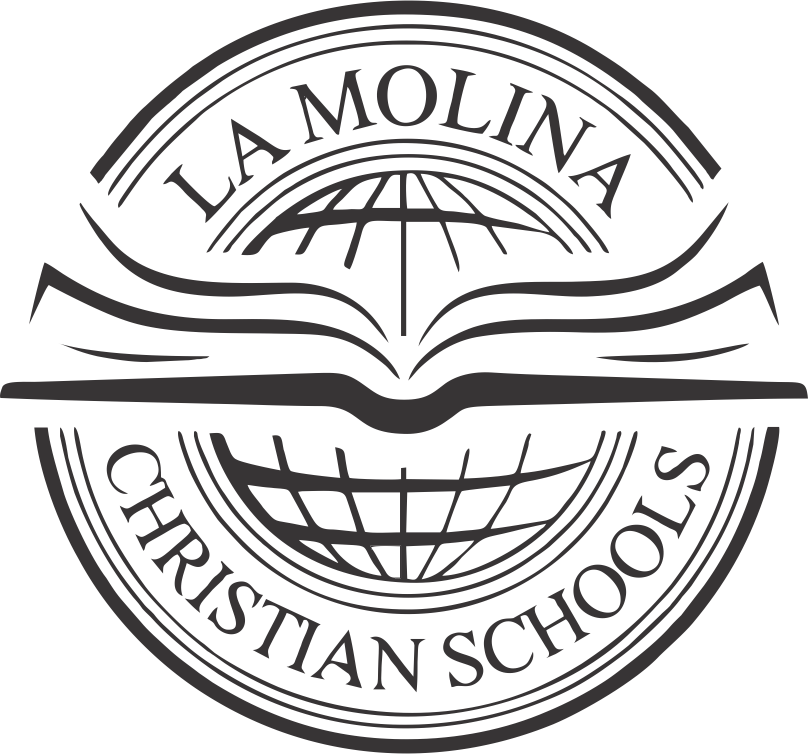 LMCS